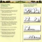 AV_Natur_Hecken_img093